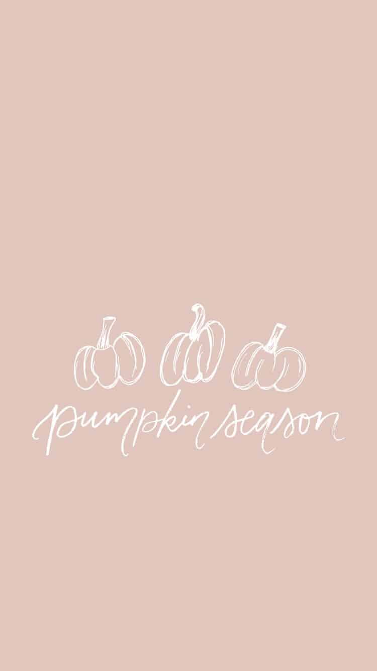 Pumpkin Season Wallpaper. You can always make your iPhone look aesthetic with cute wallpapers, these 40 beautiful and aesthetic autumn fall wallpapers for your iPhone will make you feel that autumnal fall vibes.
